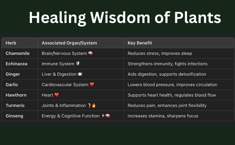 Nature’s Healing Remedies