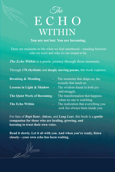 Box Set - Beyond the Vail and Echo Within Finding Peace Power and the Light